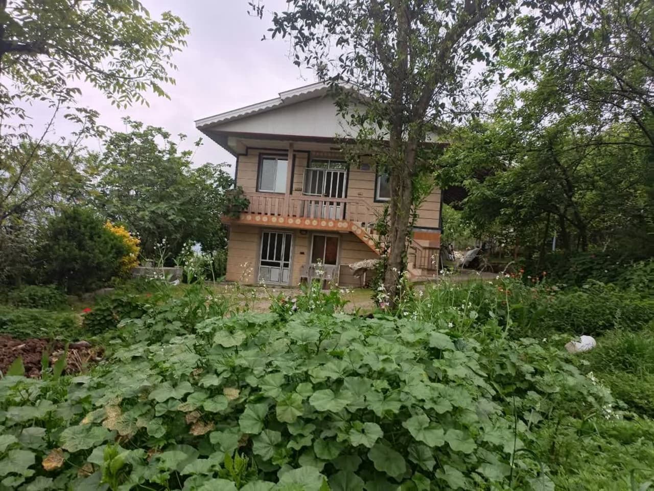 ویلا باغ روستایی در ماسال روستای سیاهدول